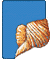 coquile1.gif (1313 bytes)