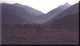 morros.jpg (10629 bytes)