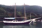 miko3.jpg (9758 bytes)
