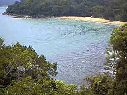 bonetinho46.jpg (18956 bytes)