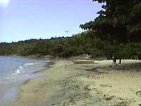 caandoca235.JPG (11562 bytes)