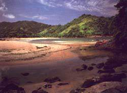 camburi01.jpg (14072 bytes)