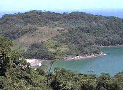 camburi1.jpg (20621 bytes)