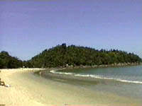 domingas195.JPG (10945 bytes)