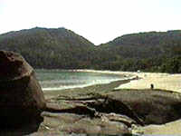 domingas232.JPG (13574 bytes)