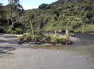 puruba1.jpg (14784 bytes)