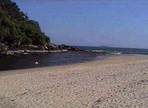 puruba2.jpg (10034 bytes)