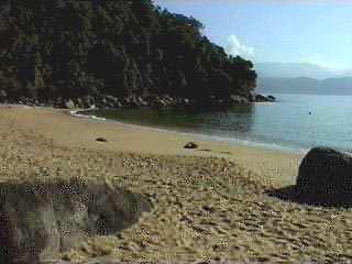 tcedro2.jpg (25862 bytes)