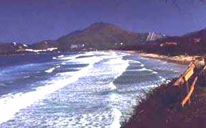 toninhas01.jpg (15632 bytes)