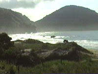 vermnorte197.JPG (11952 bytes)