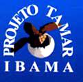 logo.jpg (12990 bytes)