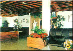 sala.jpg (26083 bytes)